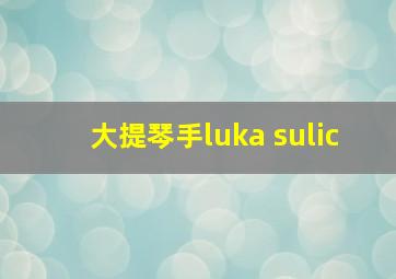 大提琴手luka sulic